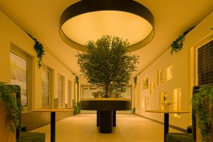 How Interactive Solar Centers Simplify Smart Energy Decisions
