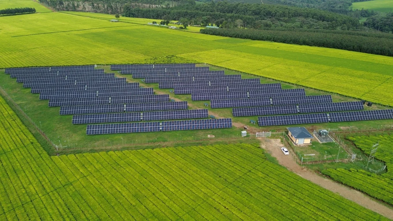 2.4MW Solar System for Tea Processing