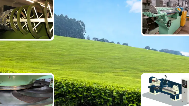 Tea Sector