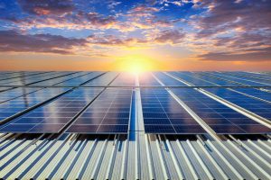Solar farm in a beautiful evening